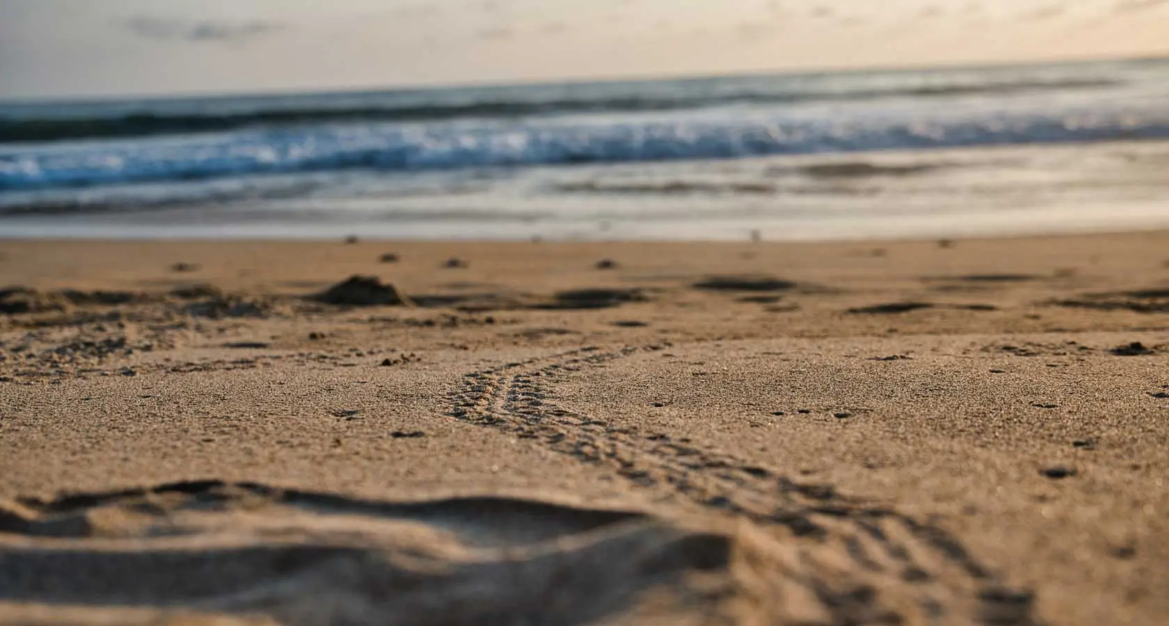 Tortuguero beach on Caribbean coast, Costa Rica