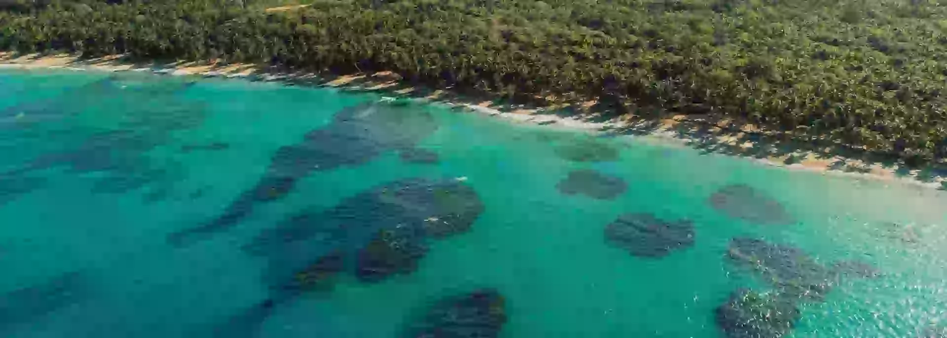 In the photo: Playa Dorada beach in the Dominican Republic