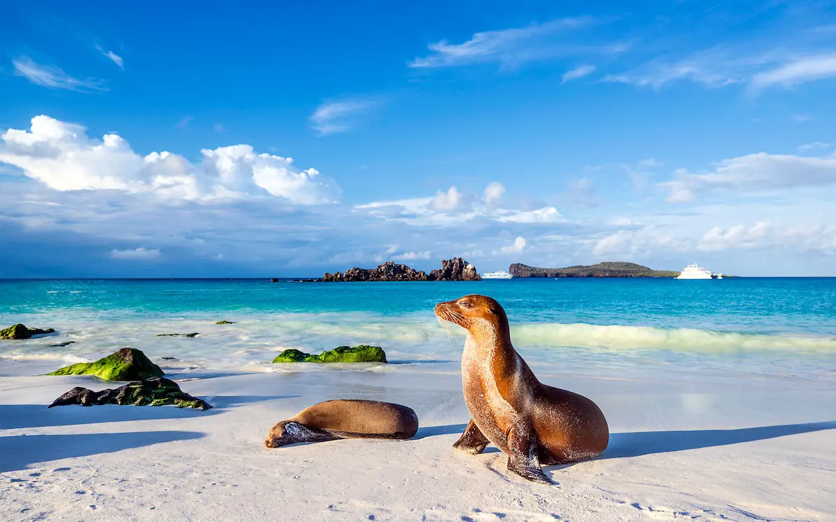 North Seymour Island -4283