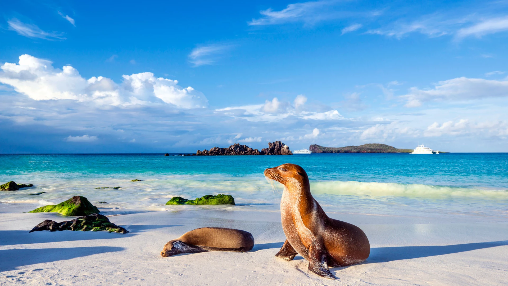 North Seymour Island