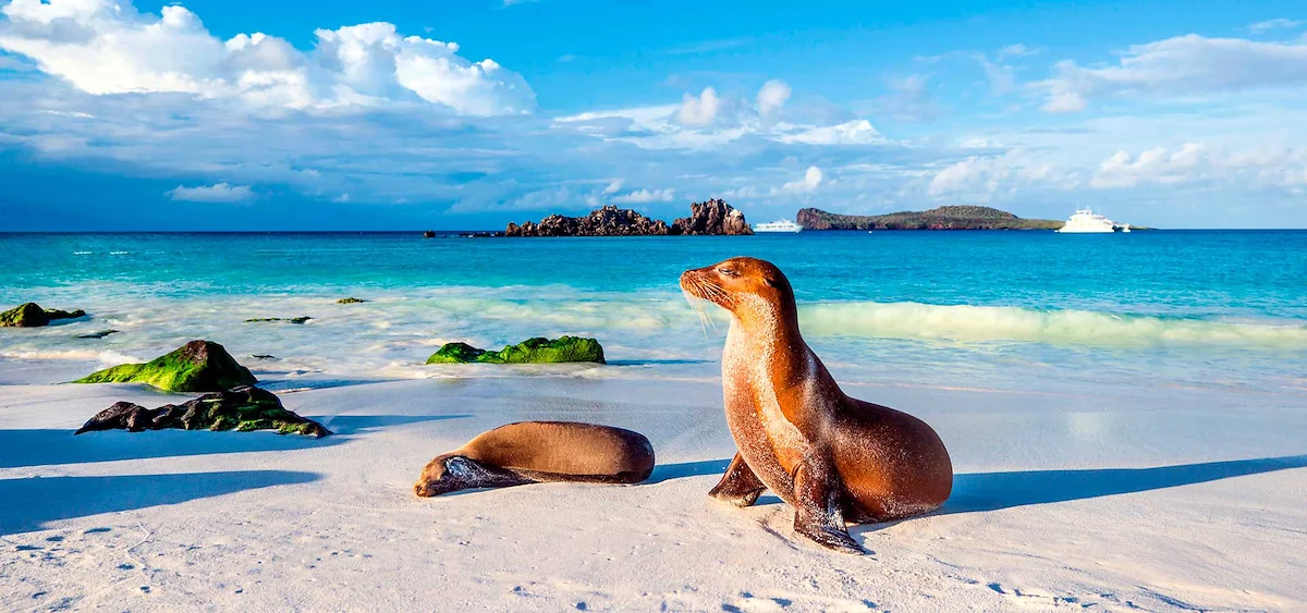 Ecuador: Beauty and Nature