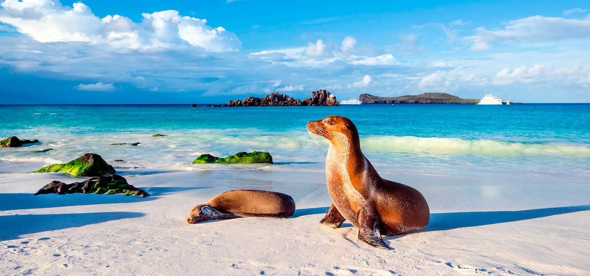 Ecuador: Beauty and Nature