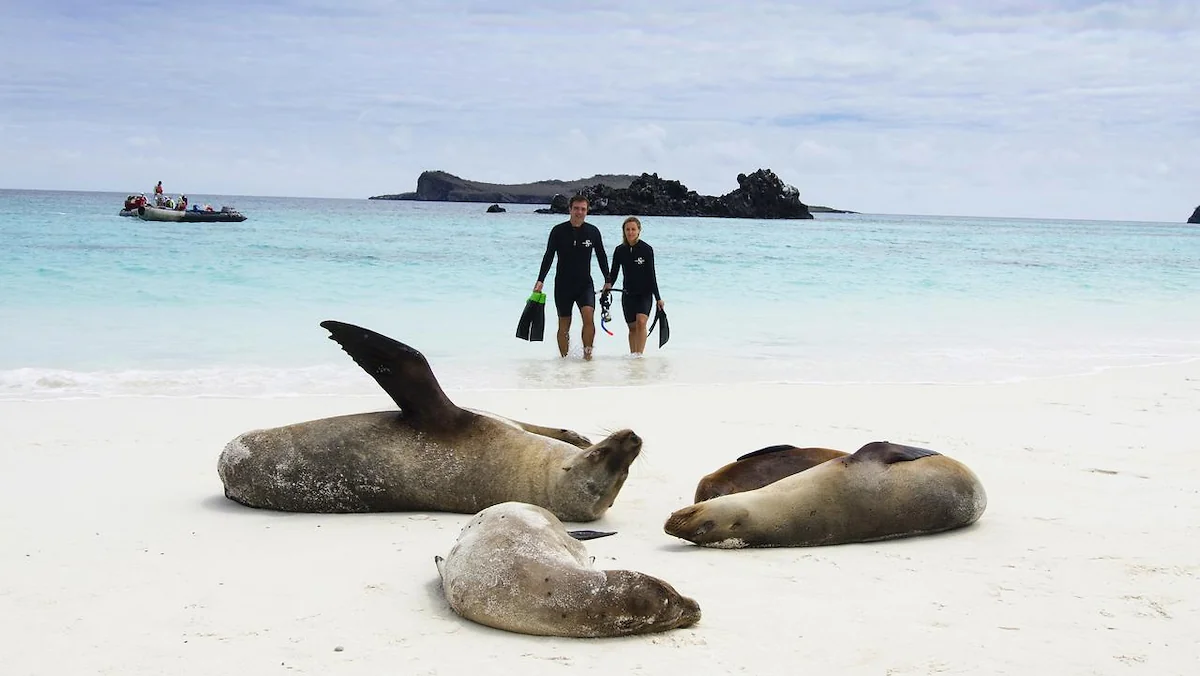 Day 3: SEA EXCURSION TO SEYMOUR ISLAND OR PLAZA -7