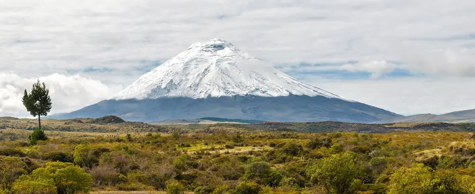 The Best of Ecuador and Galápagos & Humpback Whales!