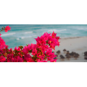 Cancún (6)