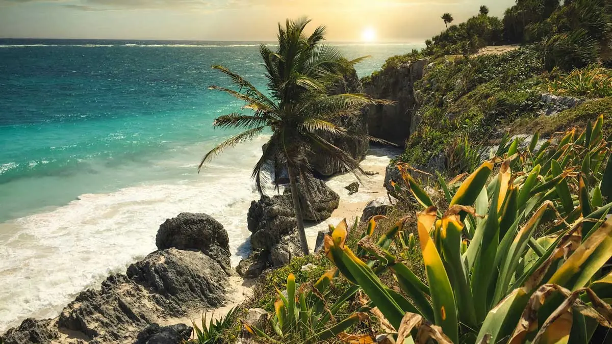 Cancun beach with white sand, Mexico, turquoise water and palms