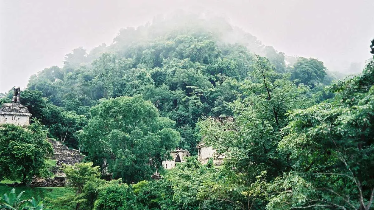 Pyramid of Kukulcán surrounded by jungle, Chichén Itzá, Mexico