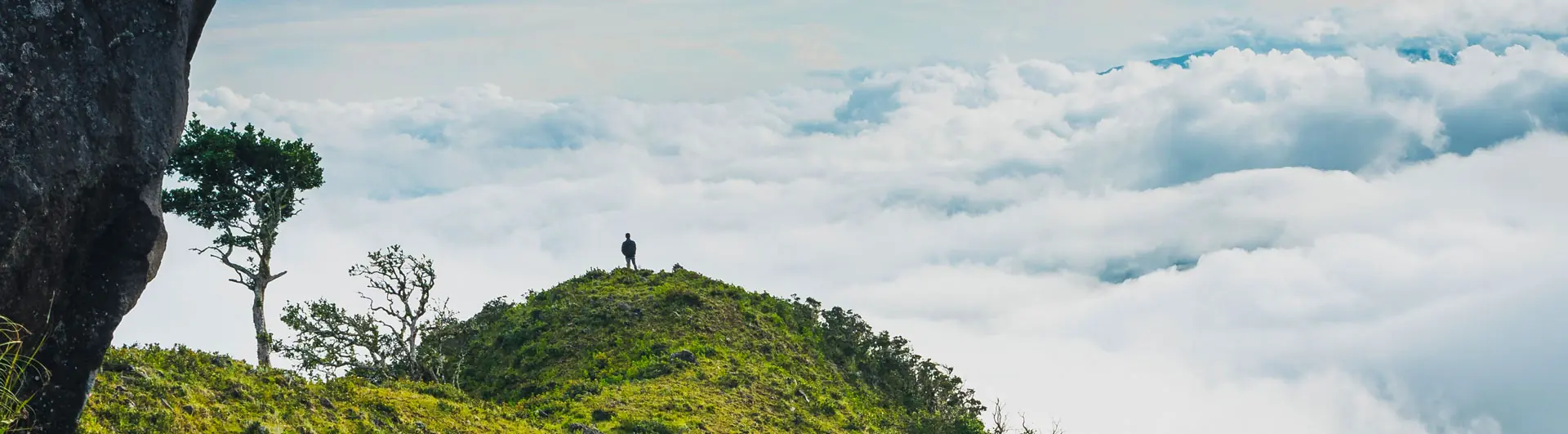 In the photo: the mountain resort of Boquete in Panama.
