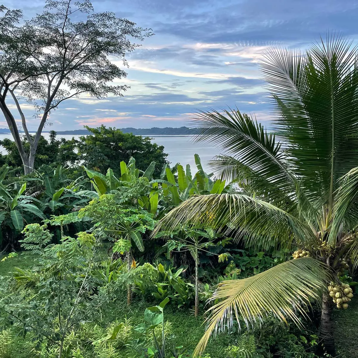 Bocas del Toro, Panama - Caribbean paradise, palm beach