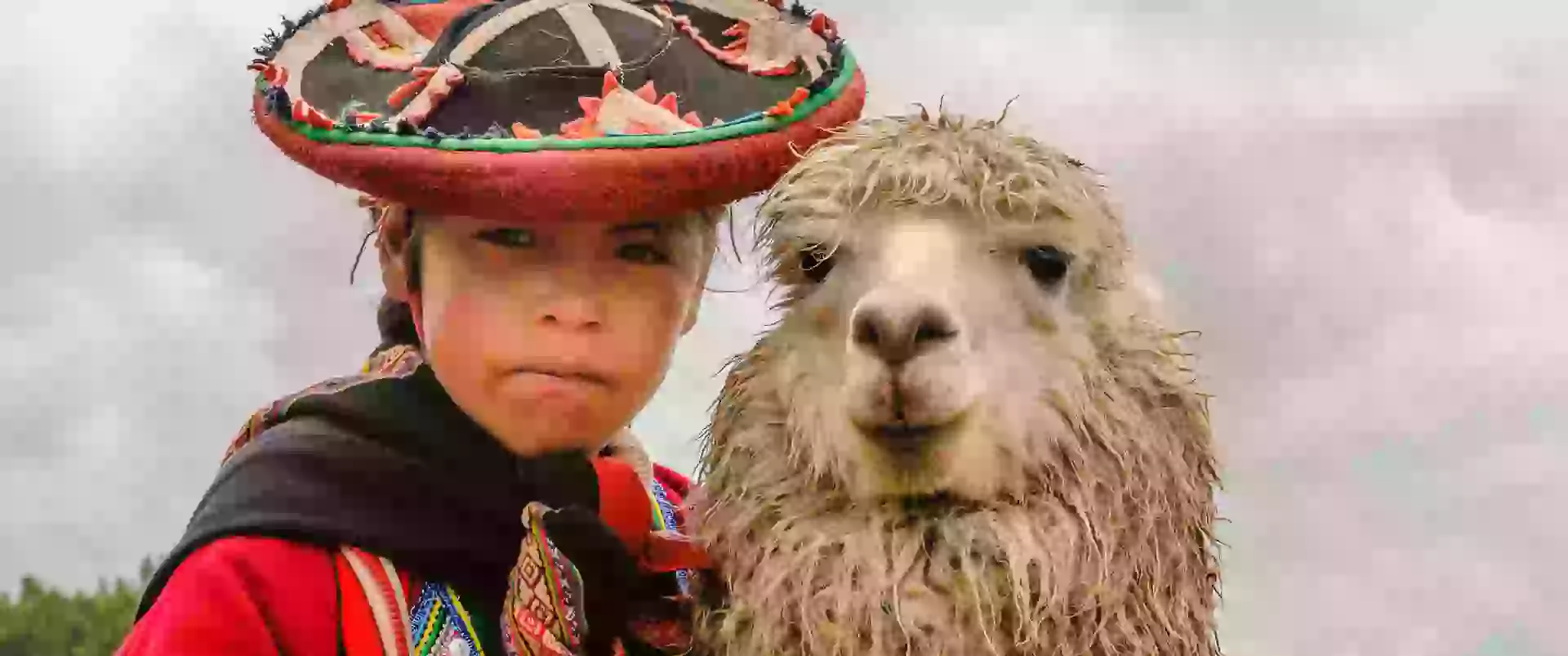 In the photo: Peruvian girl and a lama in Peru.