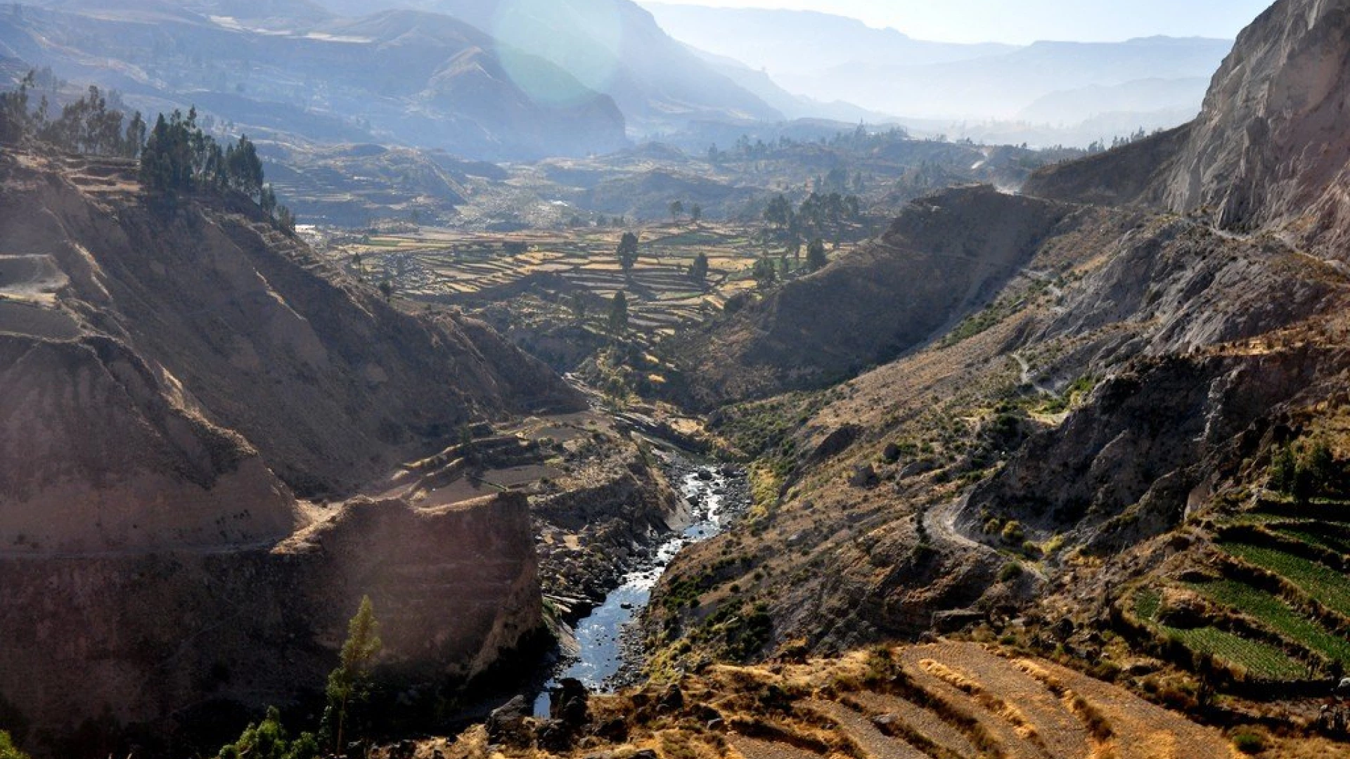 Colca Canyon & Flight of Condor