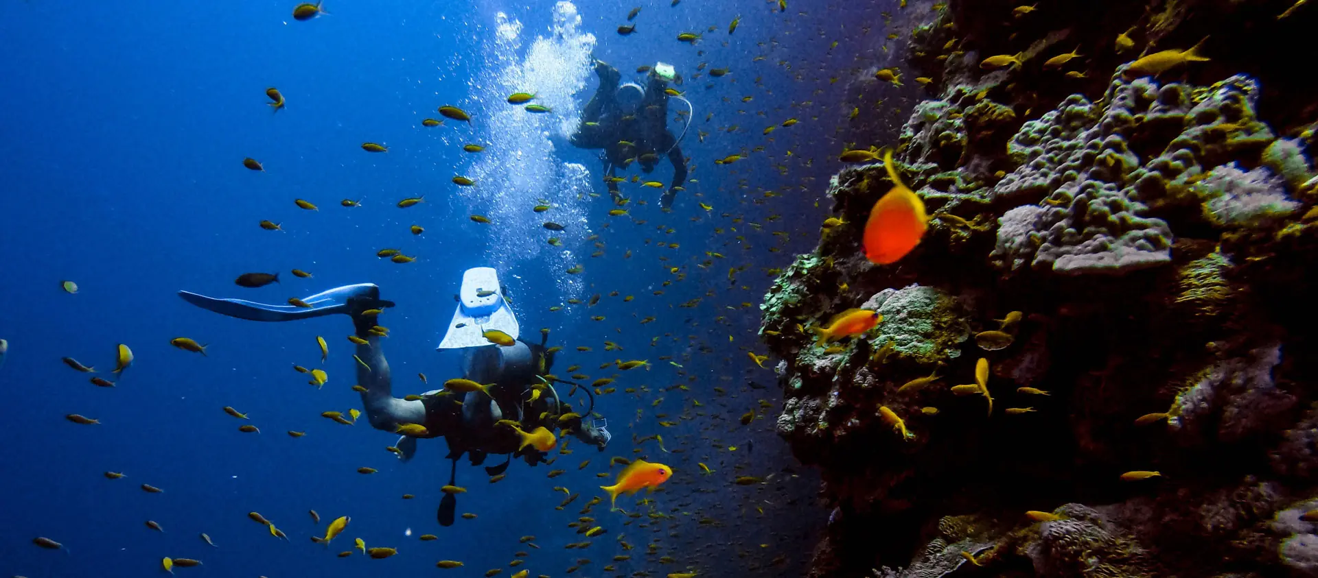 In the photo: scuba diving tours in Latin America