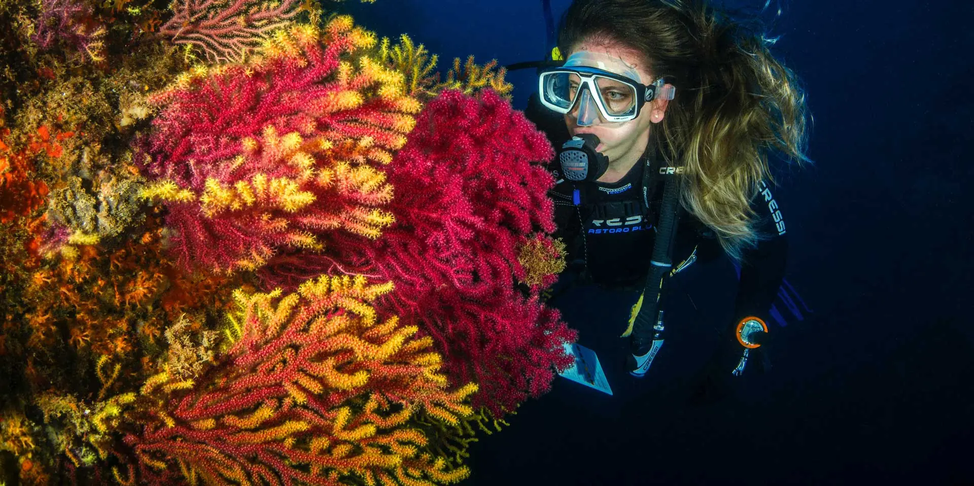 In the photo: scuba diving tours in Latin America