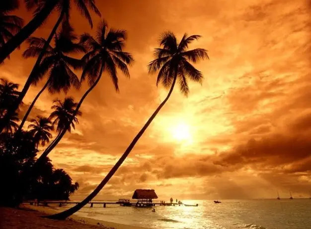 North Coast Honeymoon