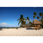 Beautiful beaches and stunning waterfalls in Punta Cana & Samaná 2022