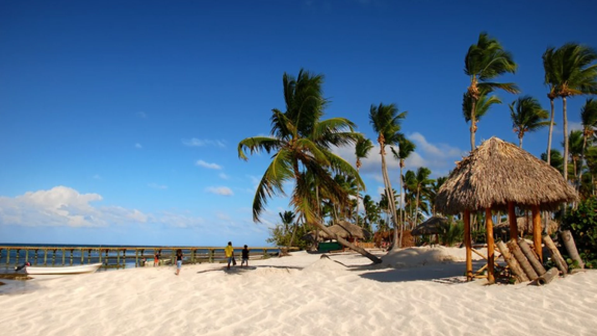 Mountain Adventure in Dominicana 