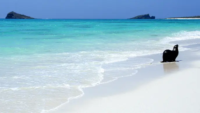 in the photo: Galapagos Islands