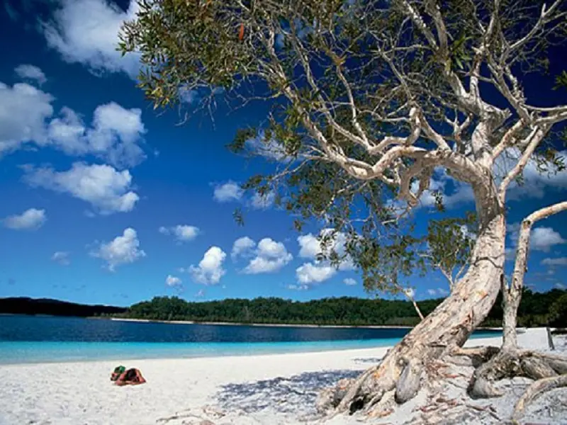 Suriname, Guyana, French Guiana