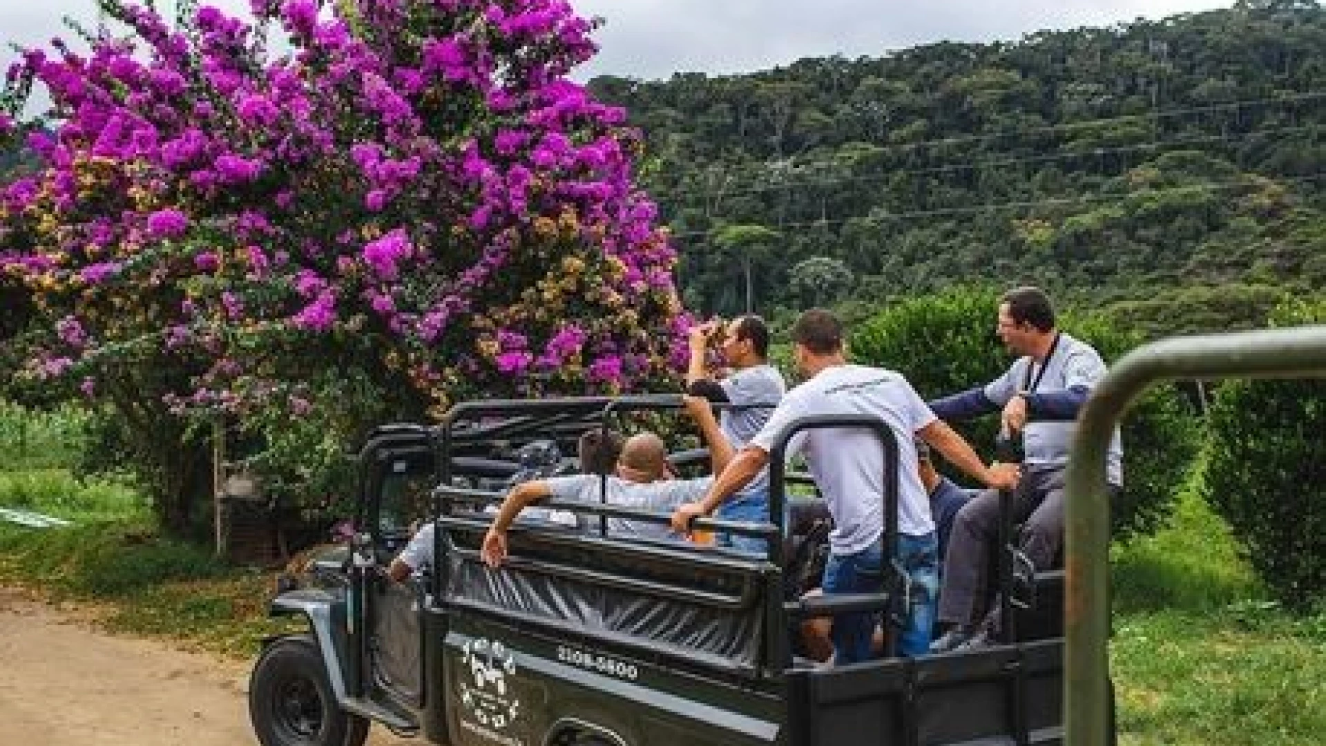 Jeep Adventure in Dominicana 