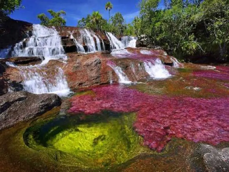 The Best of Colombia with Caño Cristales