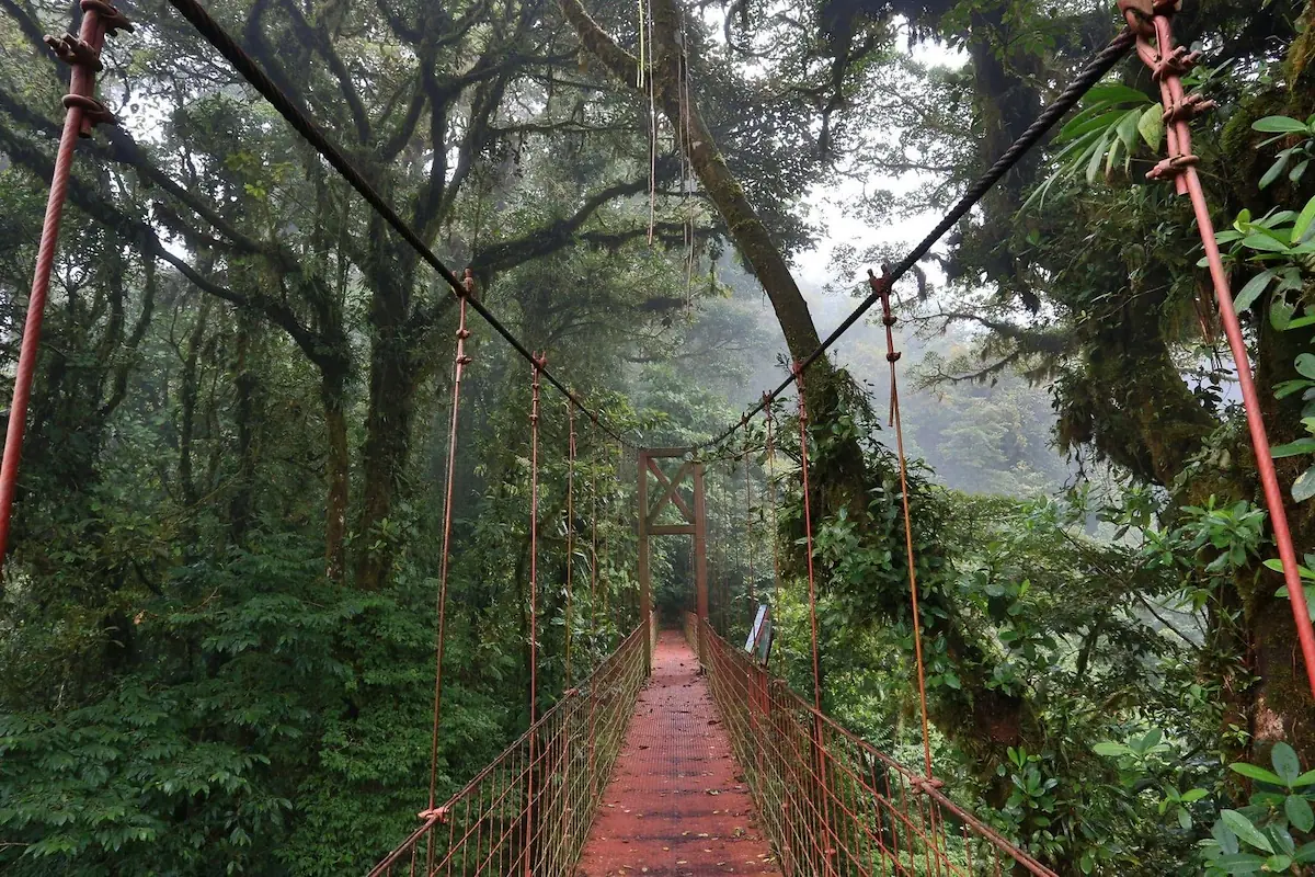 How to Choose the Best DMC in Costa Rica (2026) photo