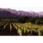 Dreams Voyage to Argentina 