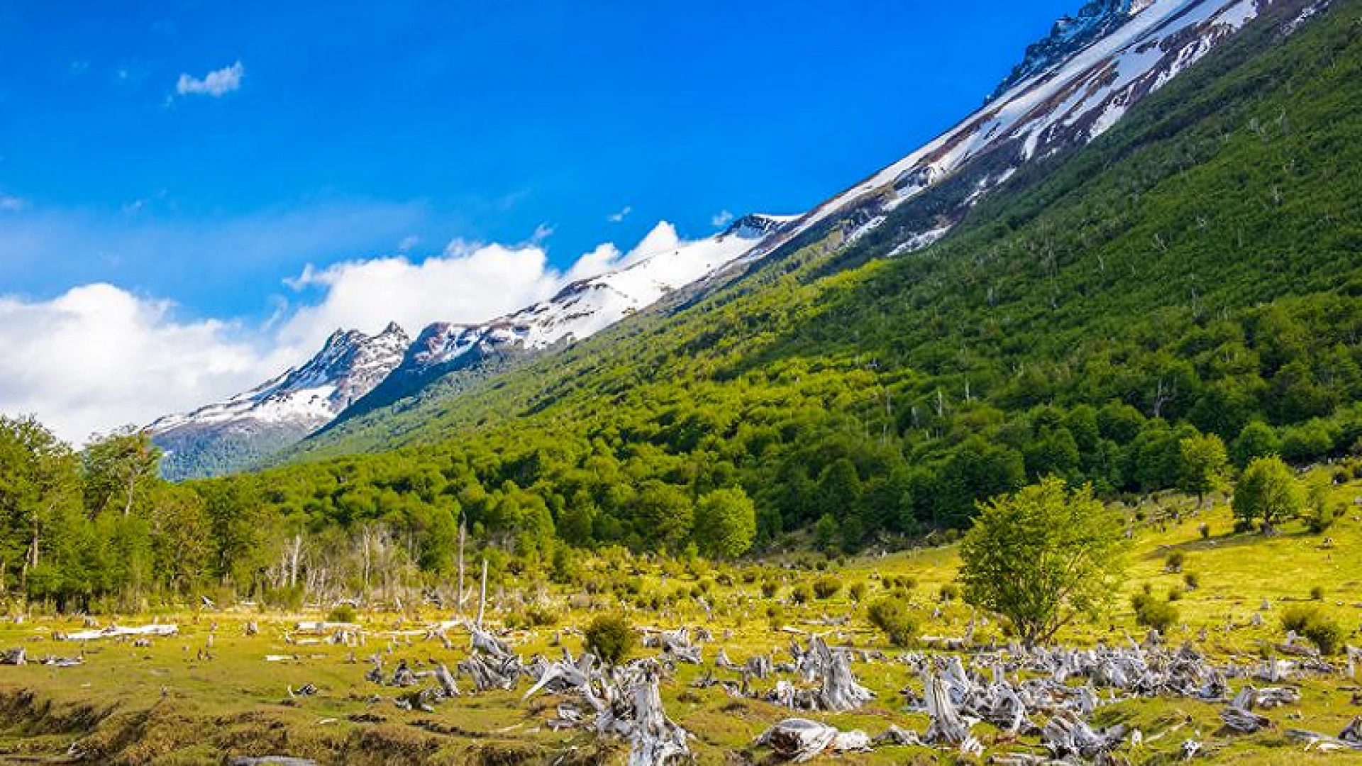 Tierra del Fuego National Park