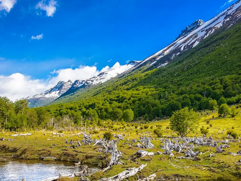 Tierra del Fuego National Park