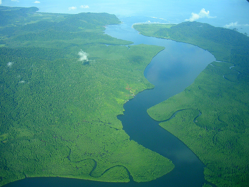 in the photo: eco tours to   Peninsula Osa  in Costa Rica