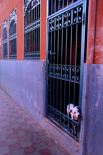 In the photo: a city in Nicaragua