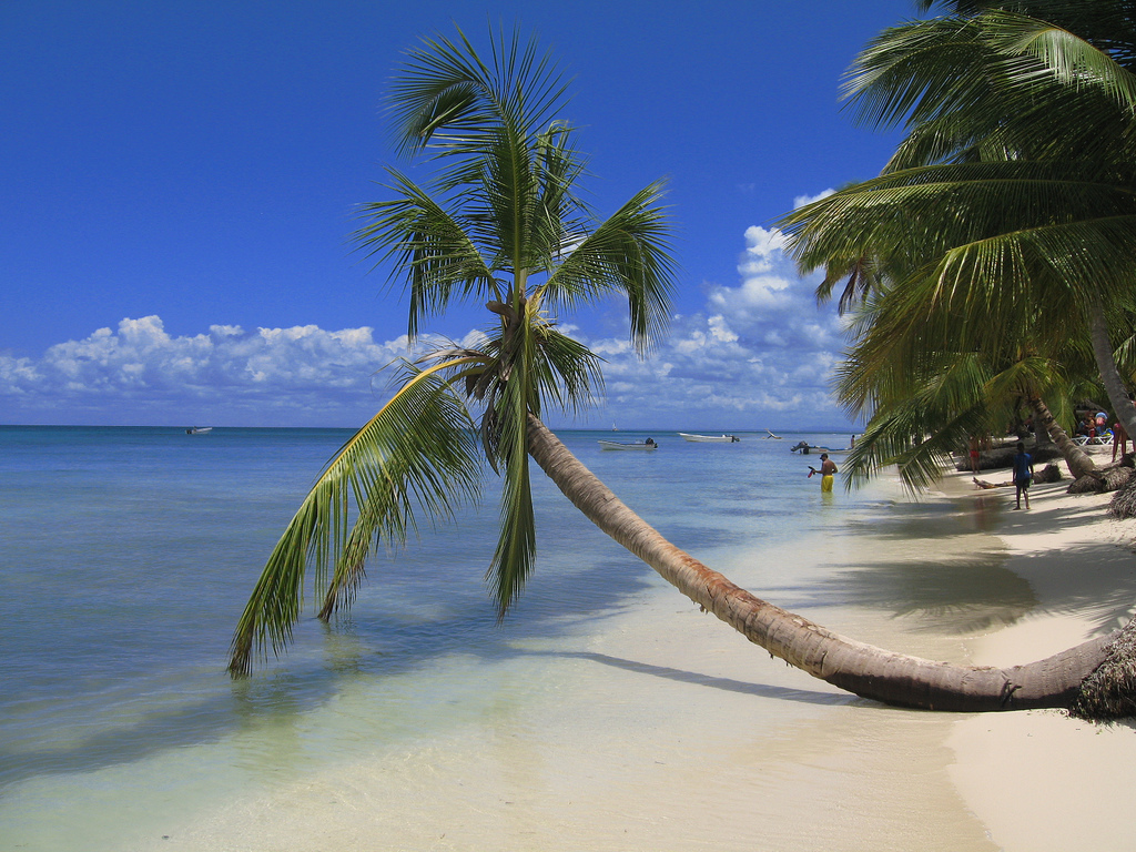 In the photo: beaches of the Dominican Republic