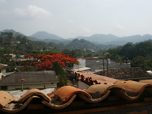 In the photo: the ruins of Copan in Honduras