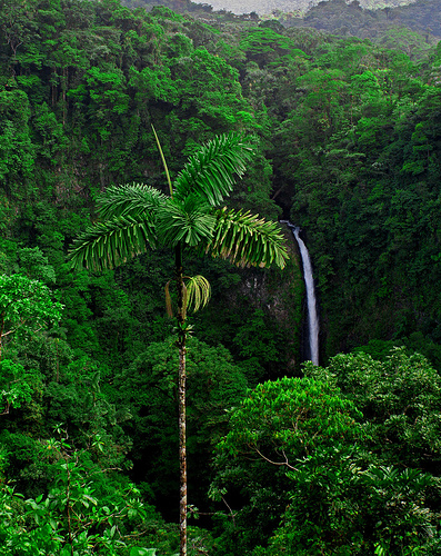 In the photo: La Fortuna and Arenal Volcano in Costa Rica