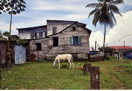 Pictured: Ranch in Nicaragua