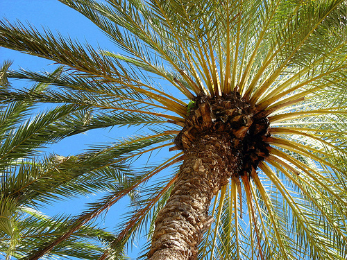 In the photo: Isla Margarita in Venezuela 