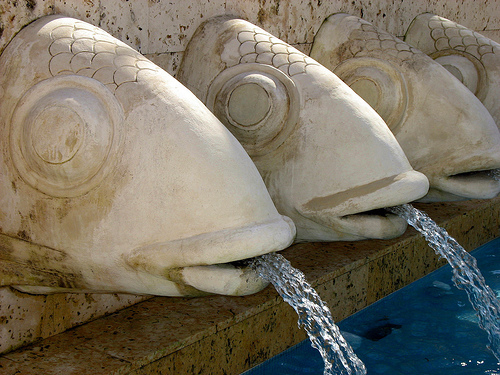 In the photo: Isla Margarita in Venezuela 