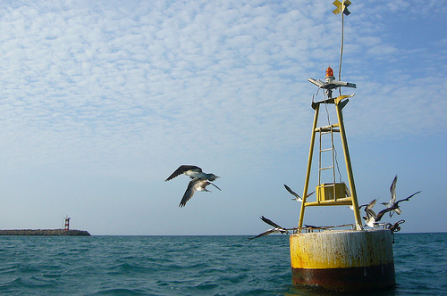 In the photo: the city of Manta in Ecuador