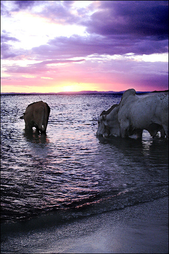 In the photo: beaches of Nicaragua