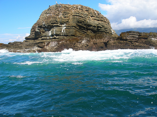 in the photo: eco tours to   Peninsula Osa  in Costa Rica