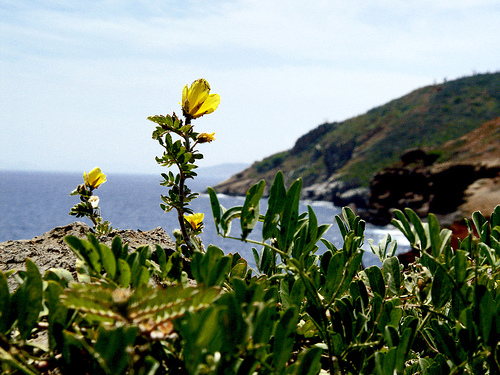 In the photo: the waterfalls in  Venezuela