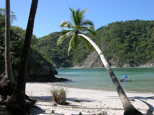In the photo: beach tours to Costa Rica