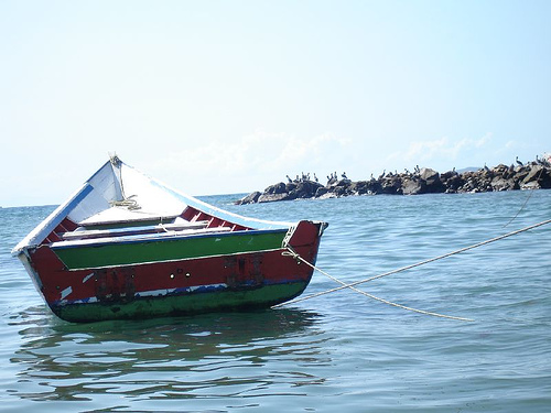 In the photo: Orinoco River Delta, Venezuela