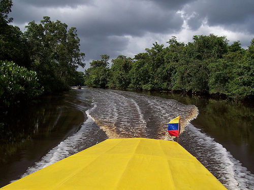 In the photo: Orinoco River Delta, Venezuela
