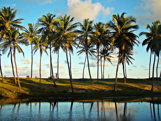 in photo: Costa do Sauípe 