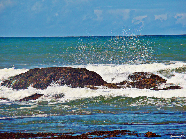 in photo: Costa do Sauípe 
