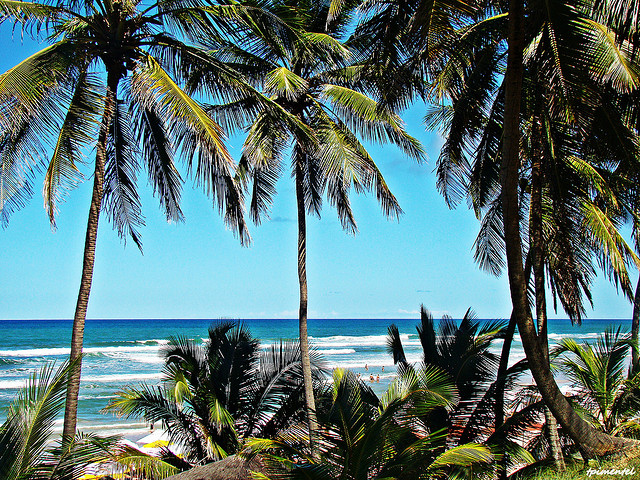 in photo: Brazilian resort Costa do Sauípe 