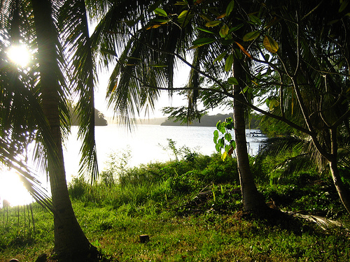 In the photo: beaches of Nicaragua