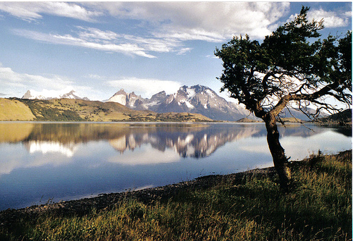 In the photo: Lake District in Chile