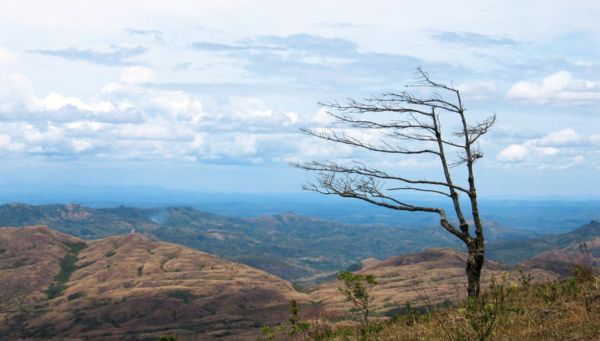 In the photo: Chagres Nature Reserve in Panama