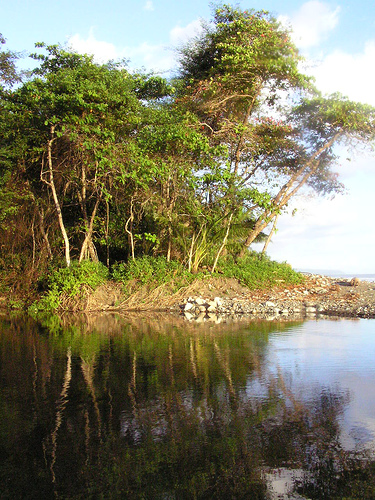 in the photo: Corcovado National Park in Costa Rica